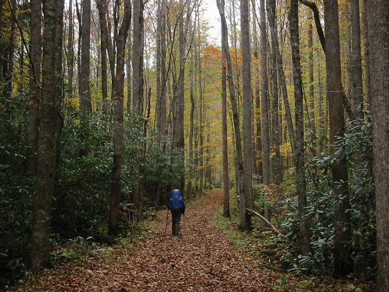hiking in smokies.JPG